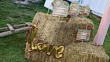 Polonezköy kır düğünü