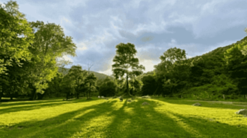 Kurumsal Piknik alanı