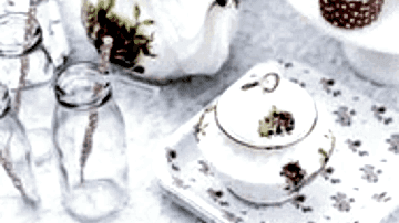 Patlıcan Polonezköy