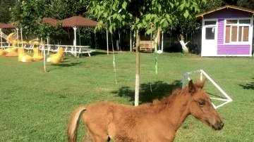 köy kahvaltısı Polonezköy